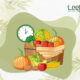 Best time to eat fruits according to ayurveda.