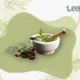 ayurveda guide by leelajani ayurcare