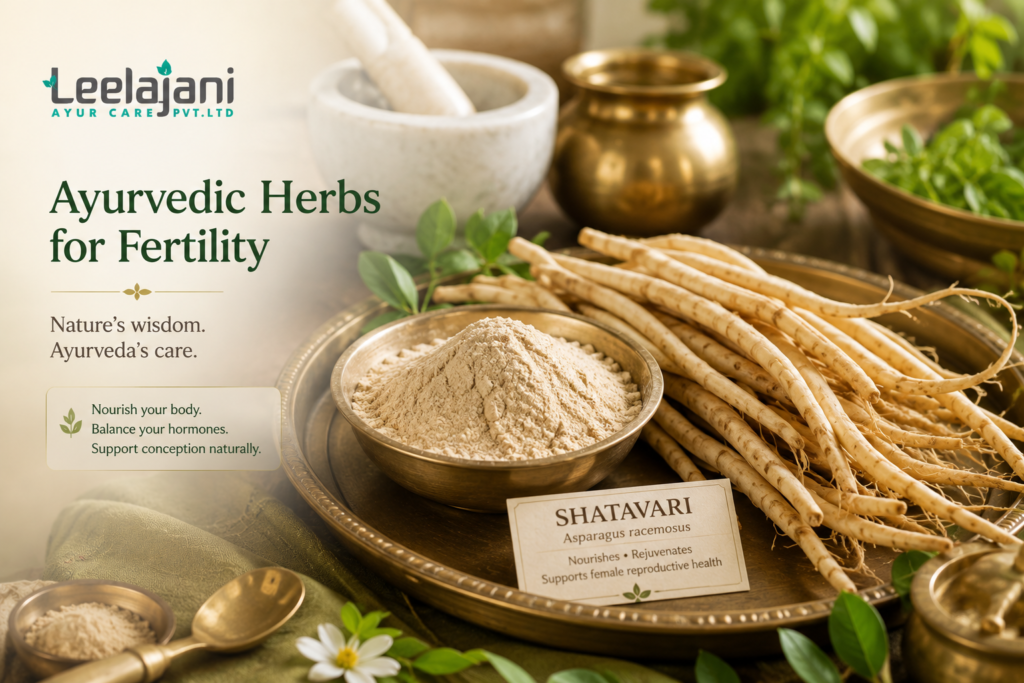Shatavari root and herbal powder used in Ayurvedic fertility treatment at Leelajani Ayur Care